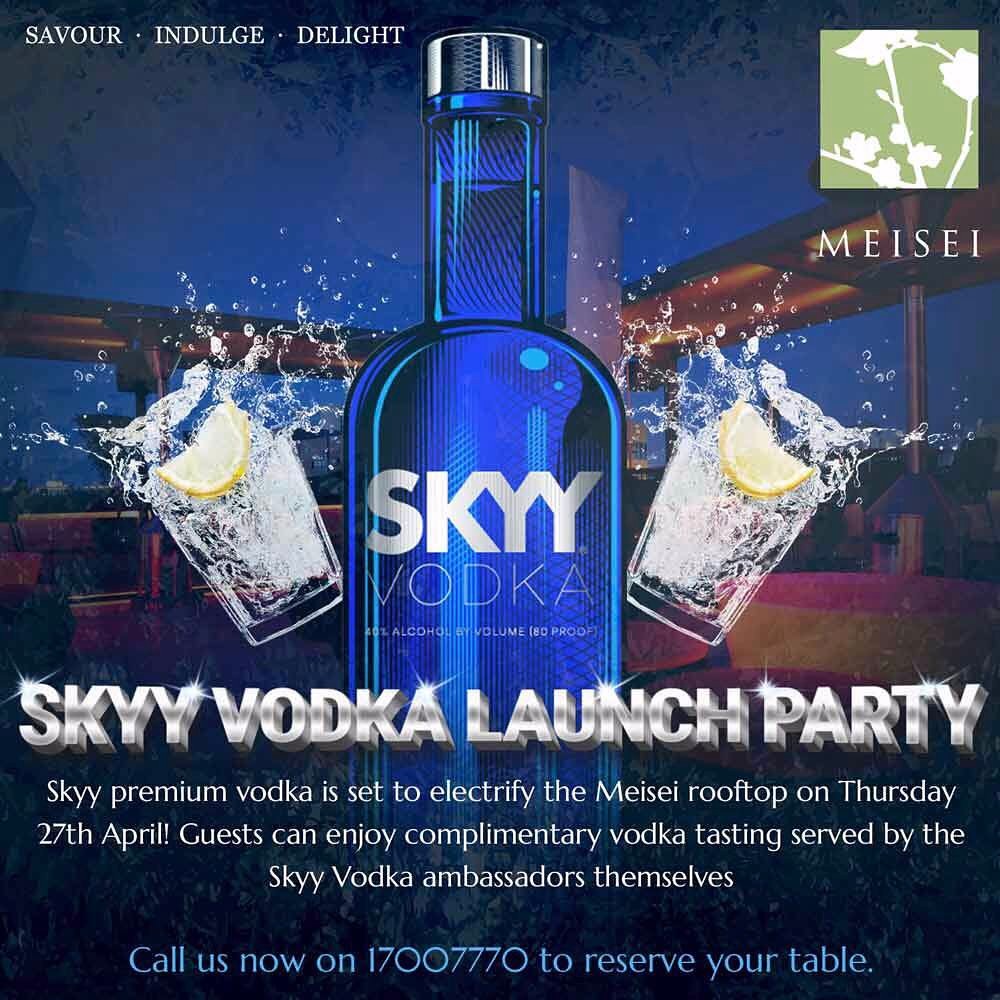 Skyy Vodka Party